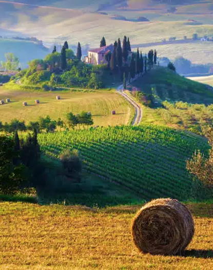1 Day Trip in Tuscany from Rome - 10h